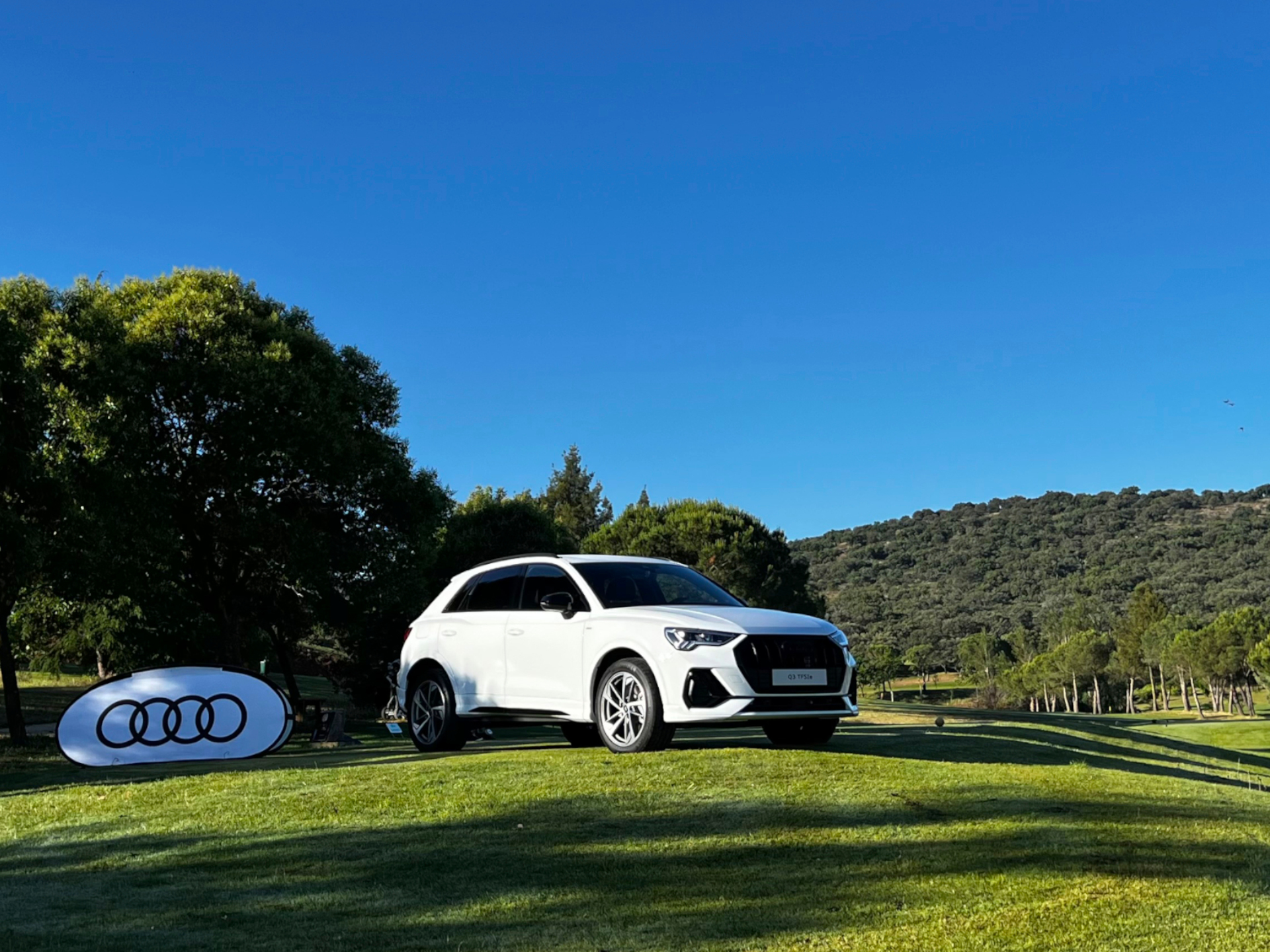 Audi quattro Cup Golf